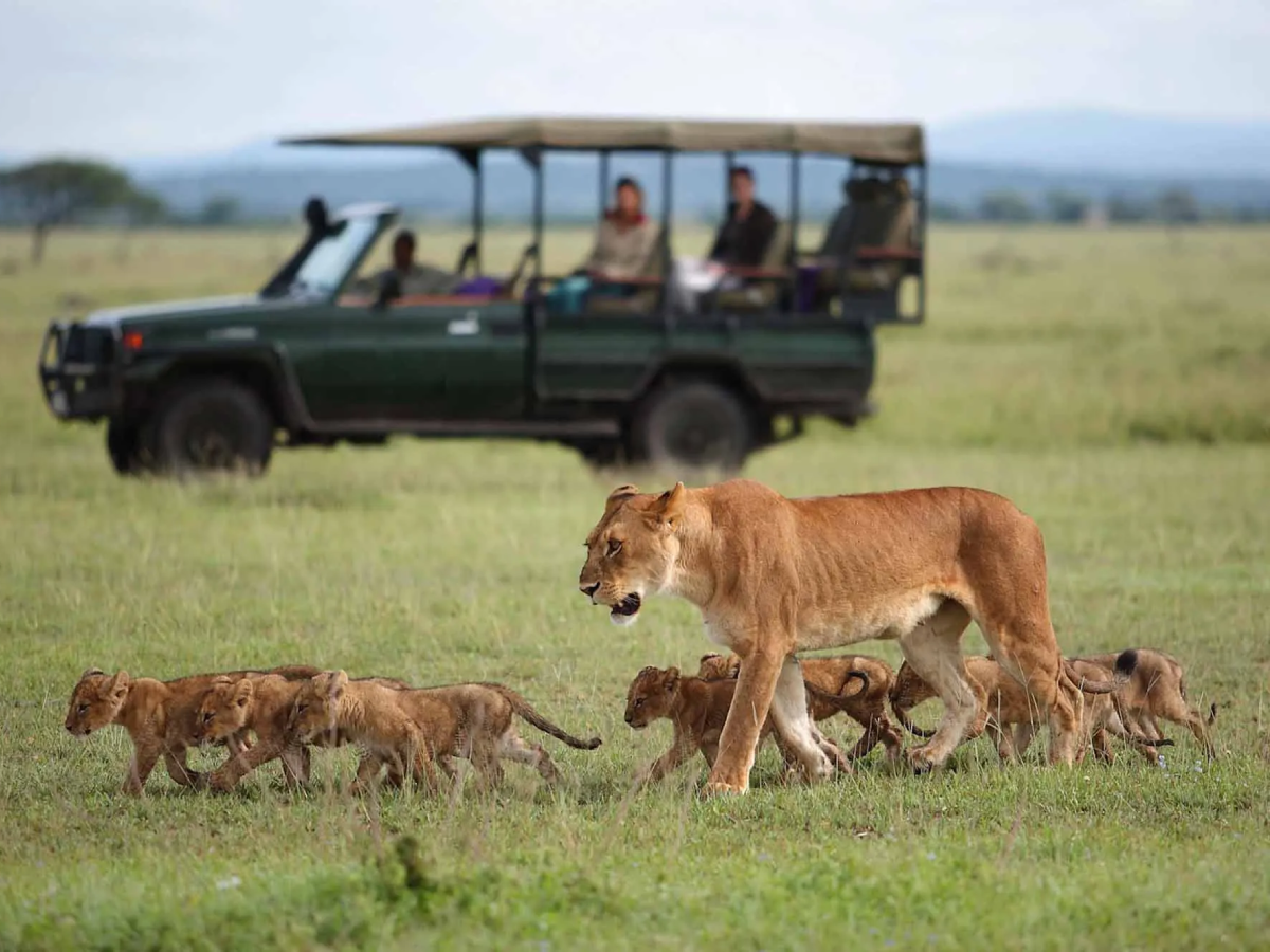 10-days-big-adventure-safari-1