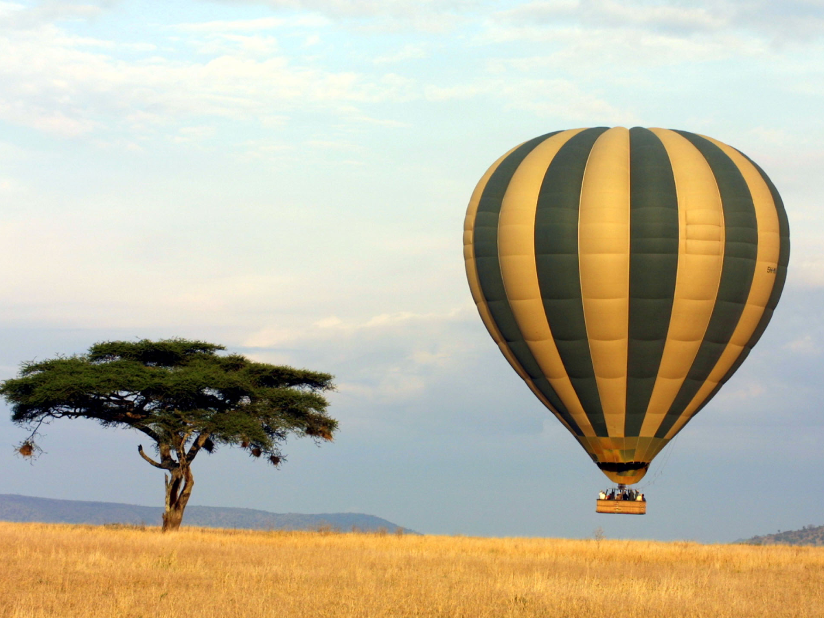 3-days-in-serengeti-4