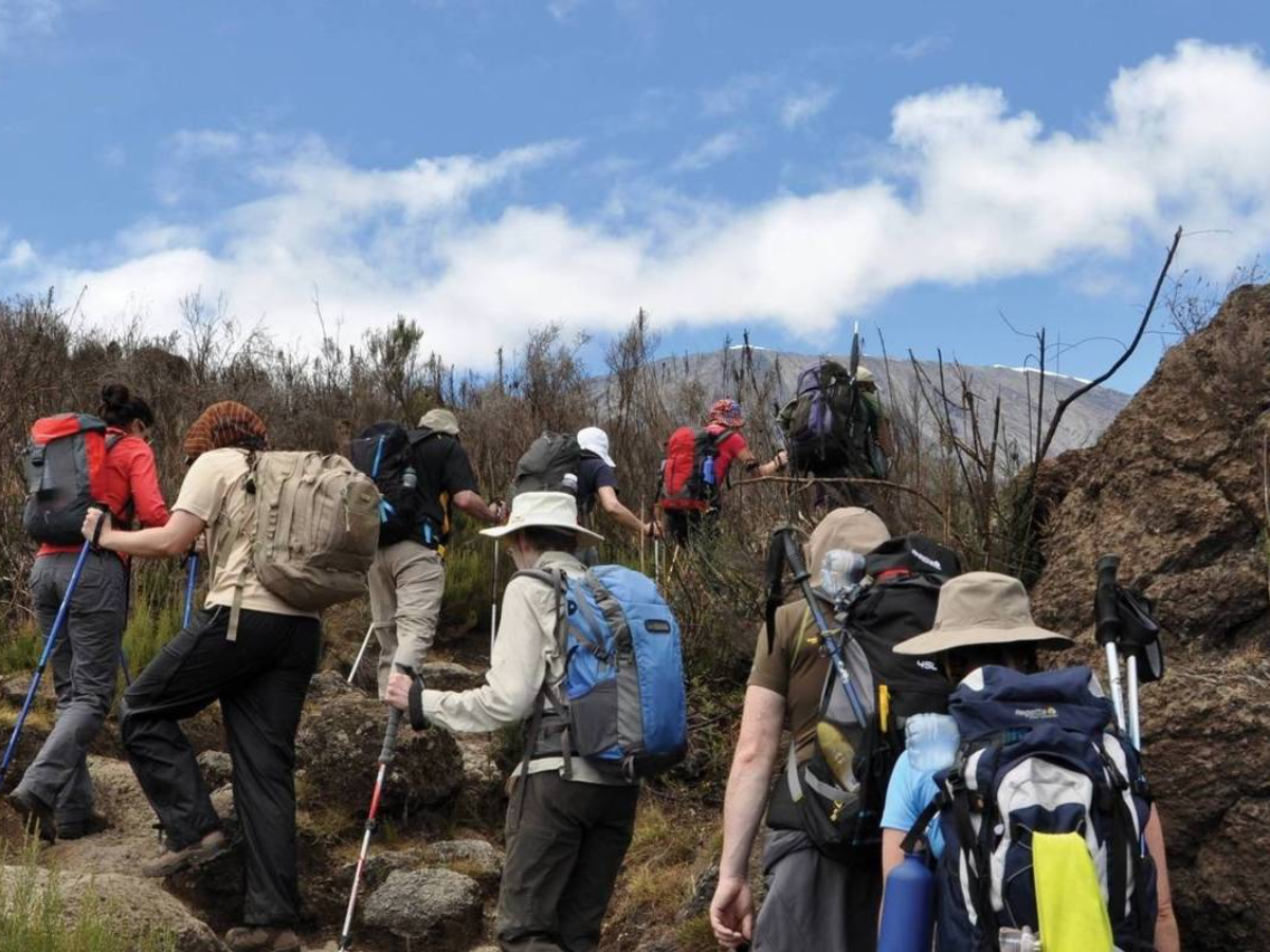 9-days-machame-route-2