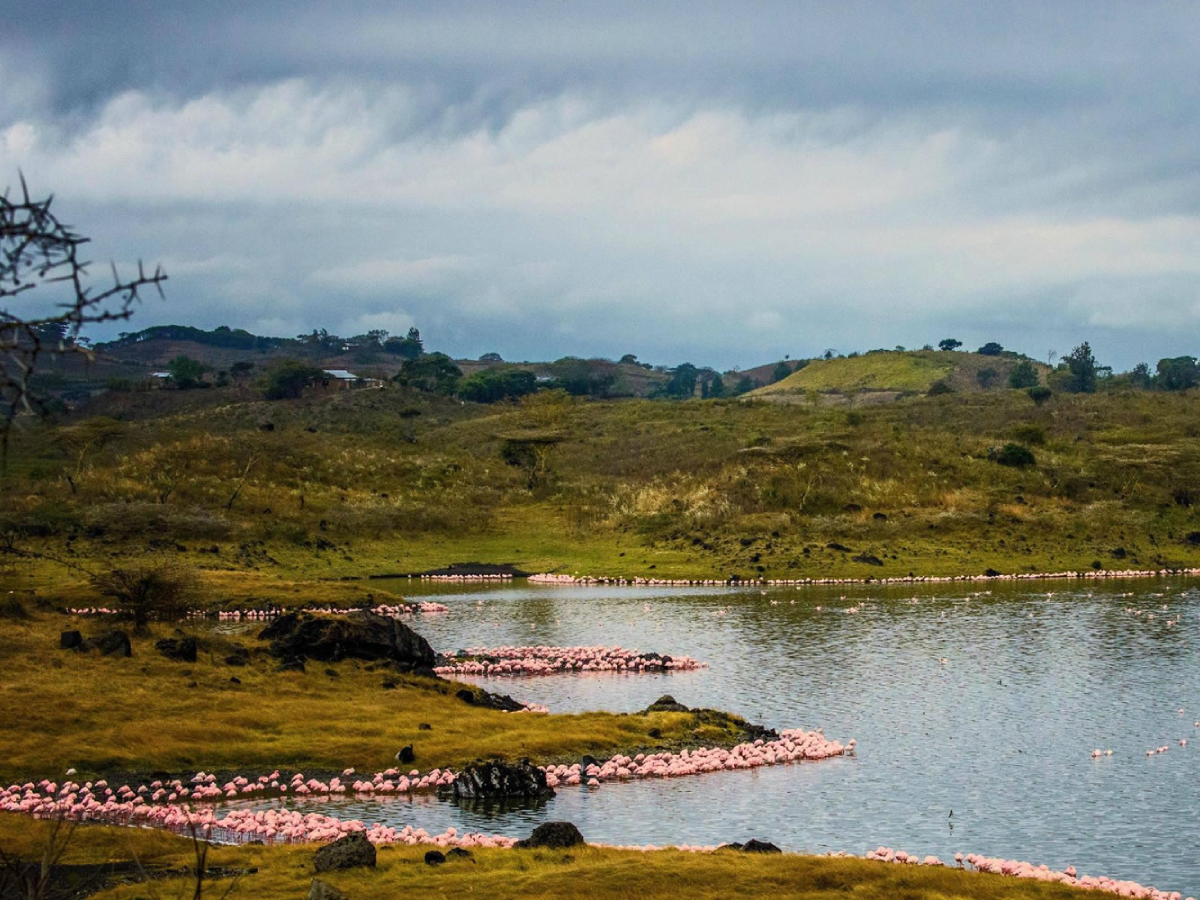 arusha-national-park-day-trip-4