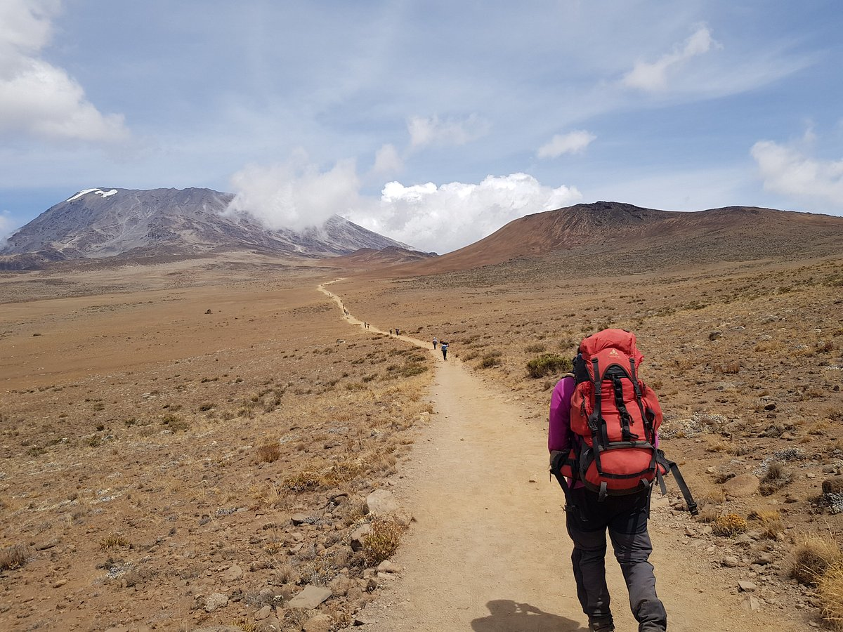 9-days-machame-route-5