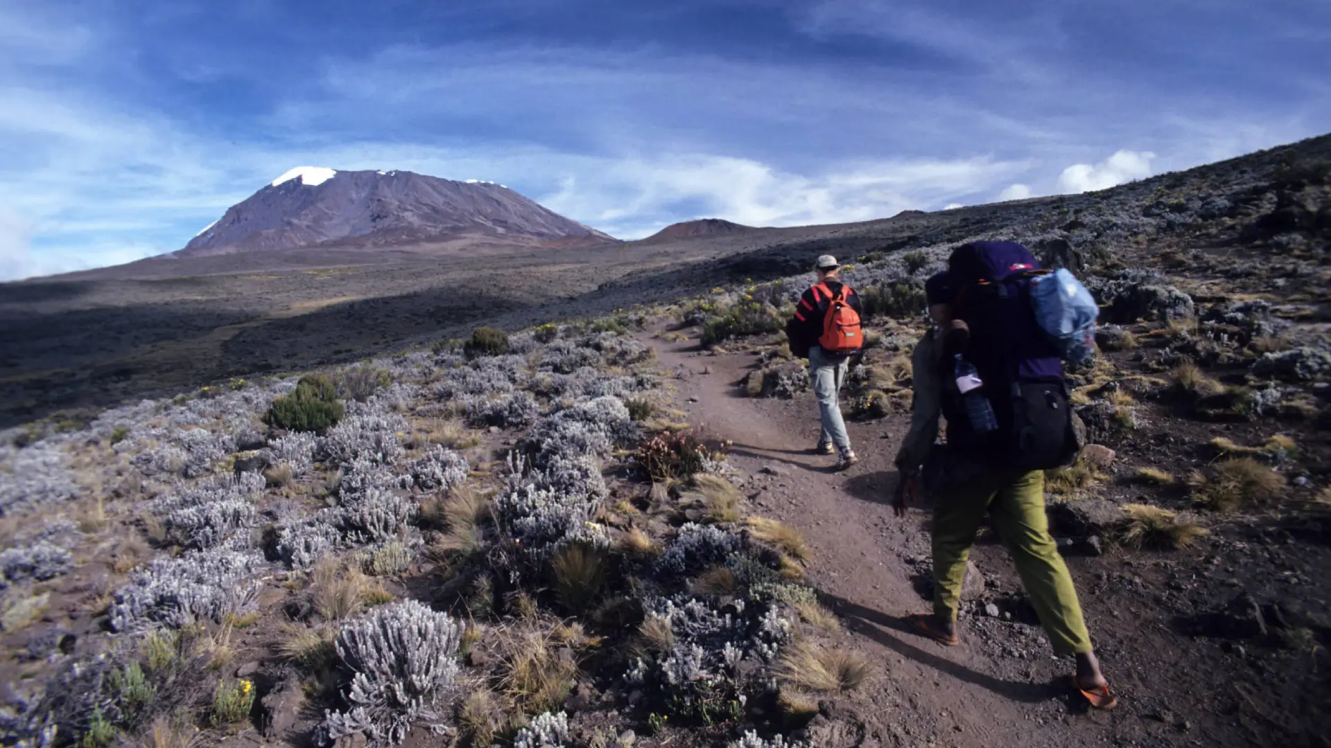 Kilimanjaro Trail Conditions