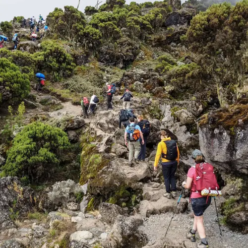 Kilimanjaro Trail Conditions3