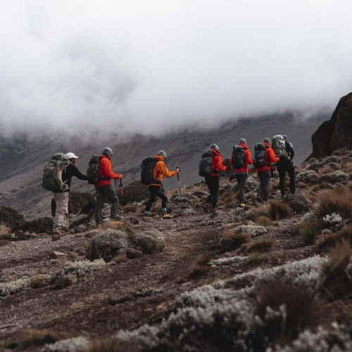 acclimatization-on-kilimanjaro-2