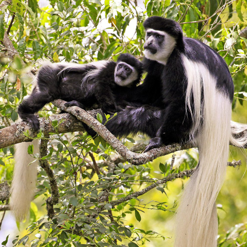 arusha-national-park-2