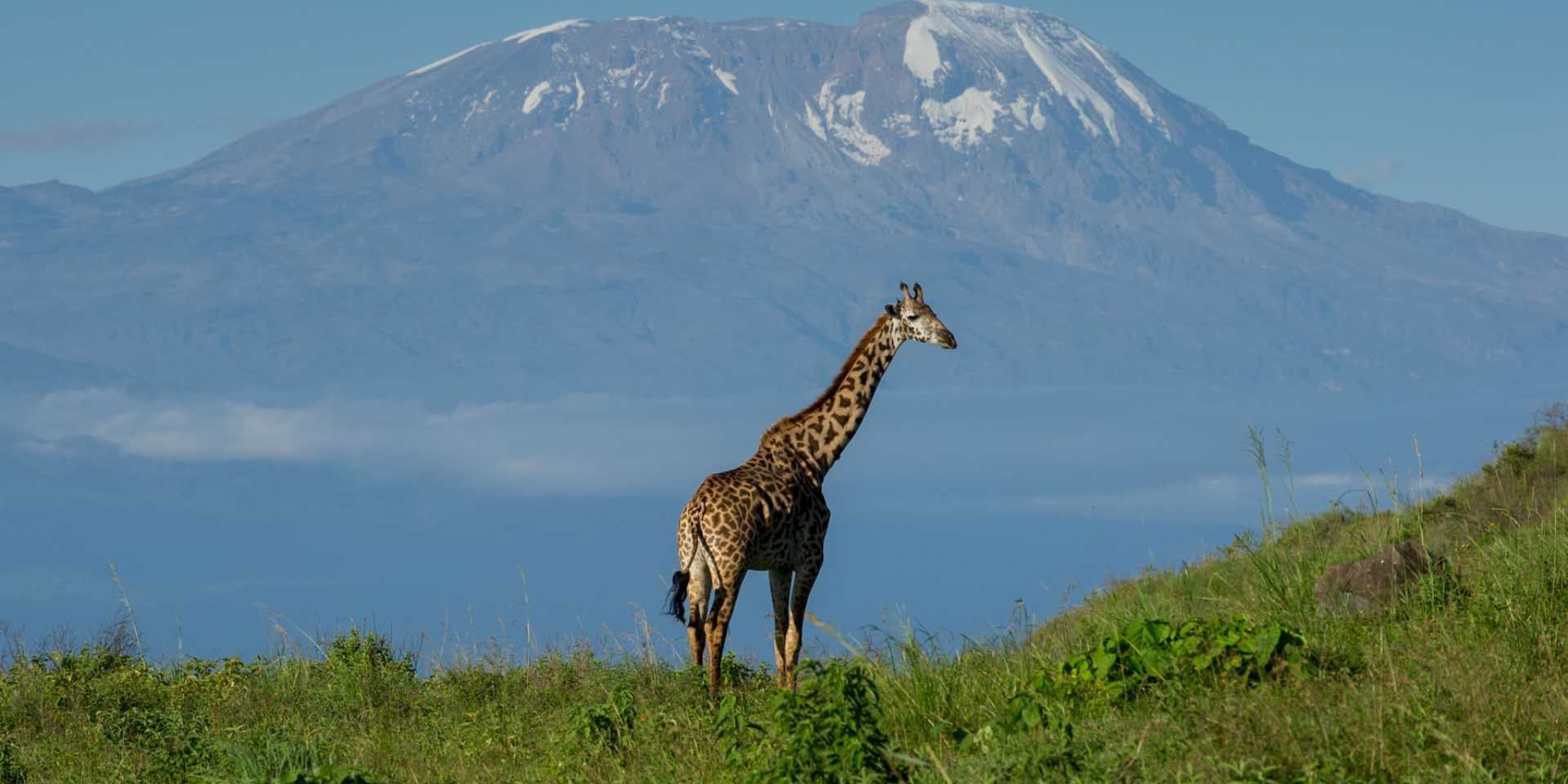 Arusha National Park