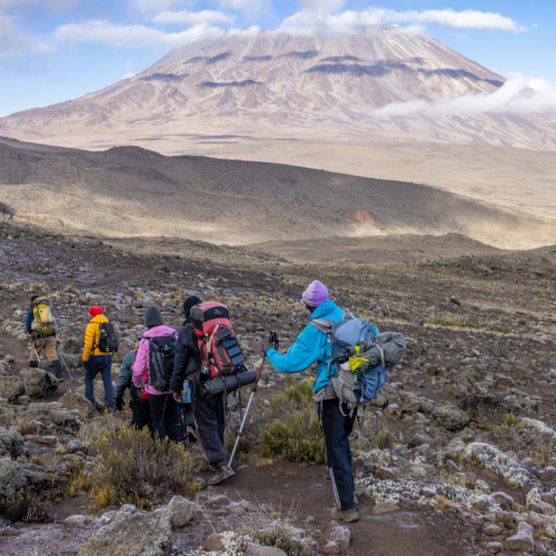 kilimanjaro-climb-cost-1