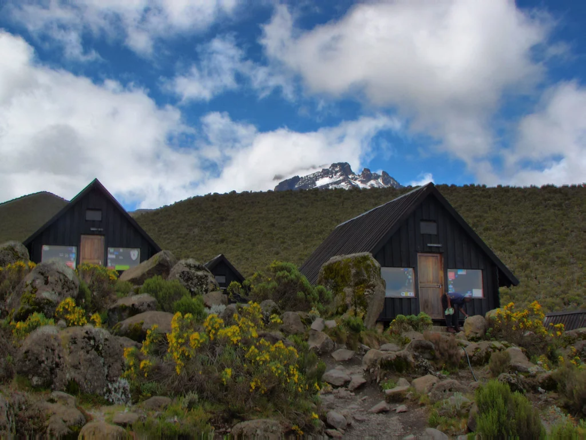 kilimanjaro-day-hike-2