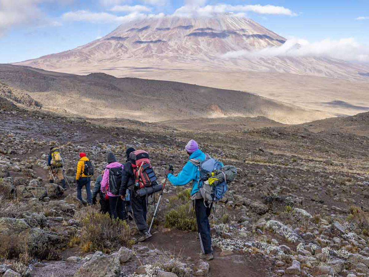 kilimanjaro-day-hike-3