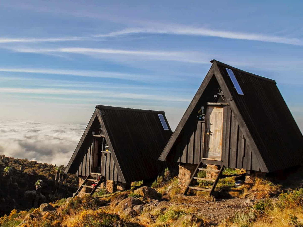 kilimanjaro-day-hike-4