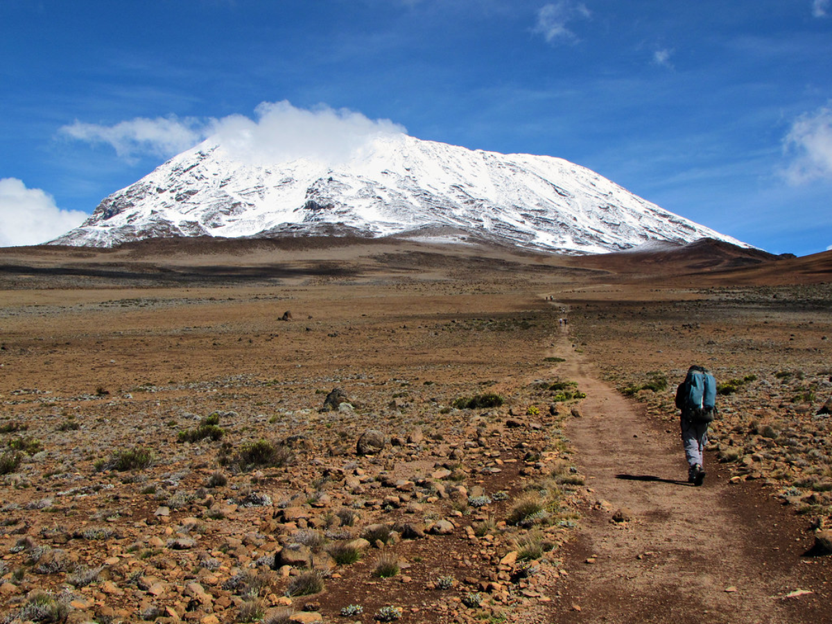 kilimanjaro-day-hike-5