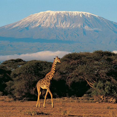 kilimanjaro-national-park-3