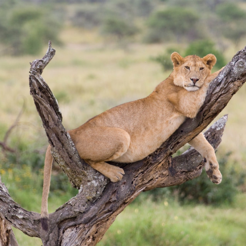 lake-manyara-national-park-1