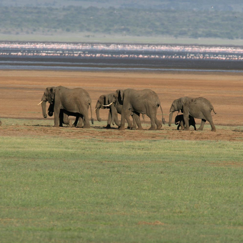 lake-manyara-national-park-3