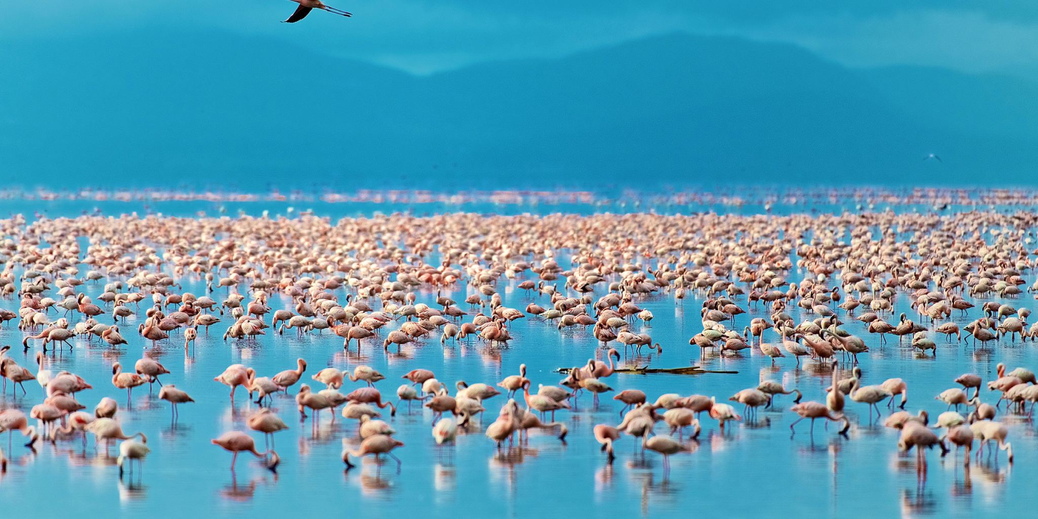 Lake Manyara National Park