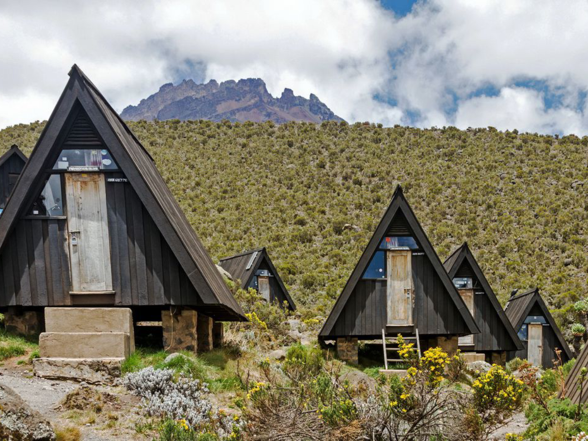 marangu-day-trip-1