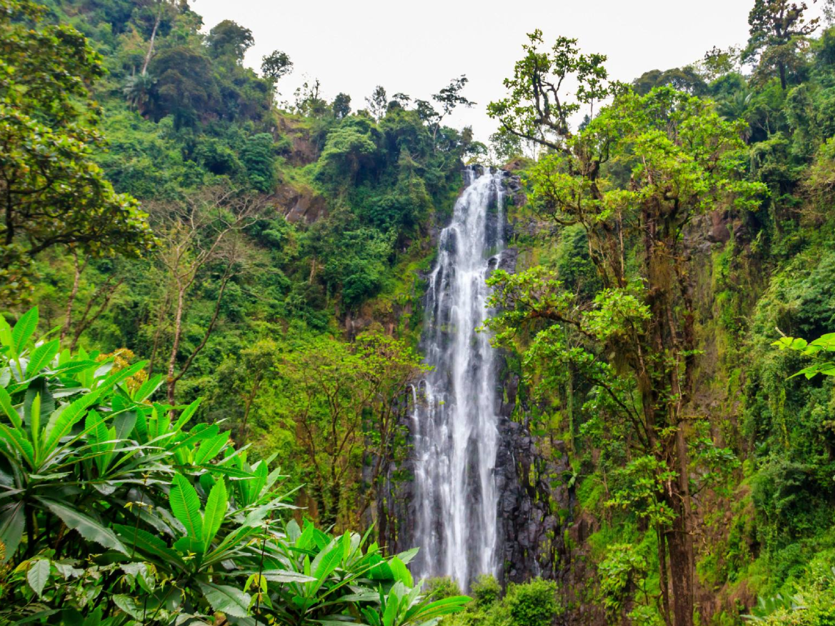 materuni-waterfalls-coffee-tour-1