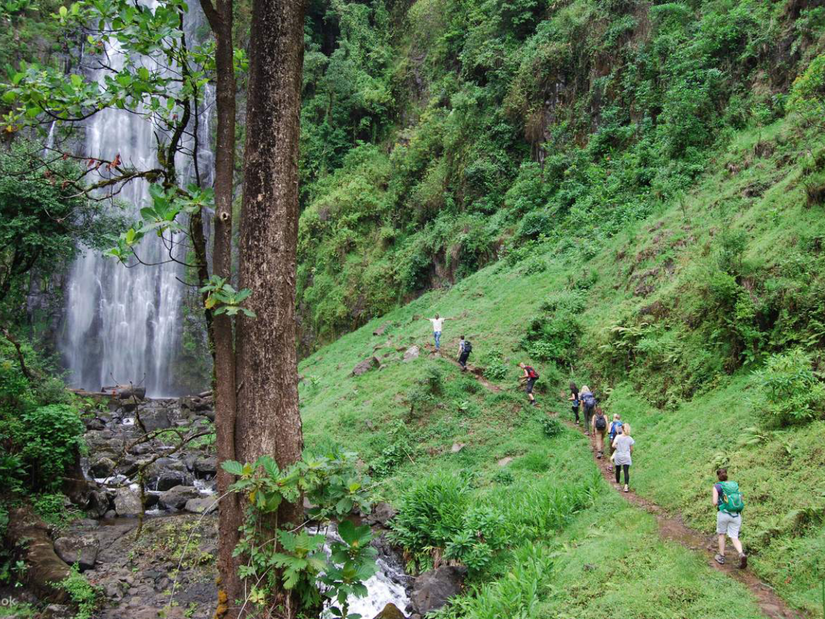 materuni-waterfalls-coffee-tour-2