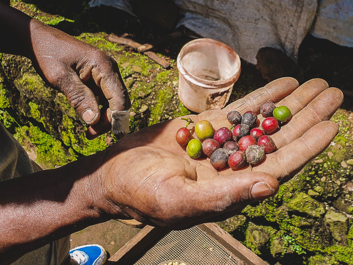 materuni-waterfalls-coffee-tour-3