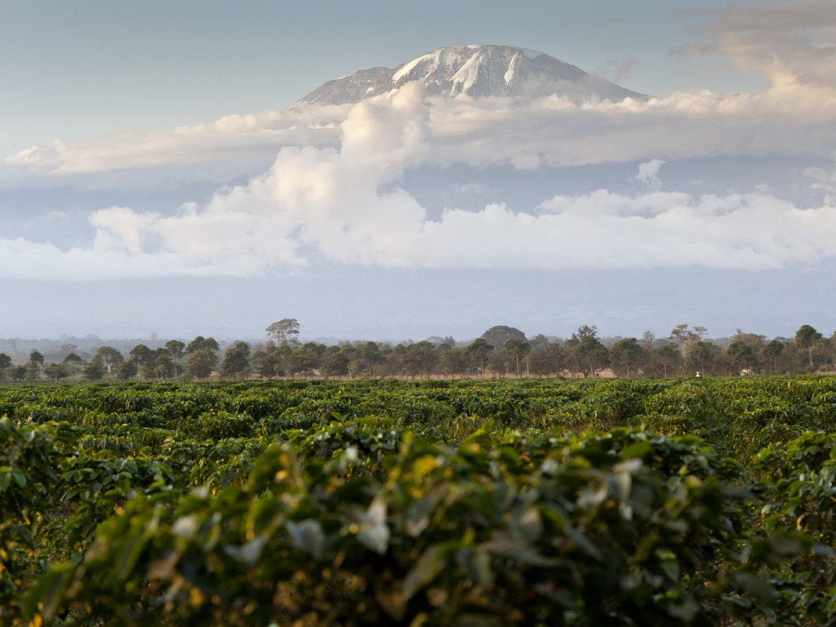 materuni-waterfalls-coffee-tour-5