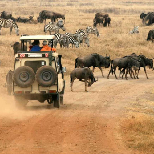 tanzania-safari-cost-2