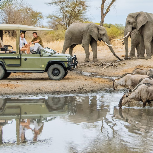 what-to-expect-on-a-safari-in-tanzania-1