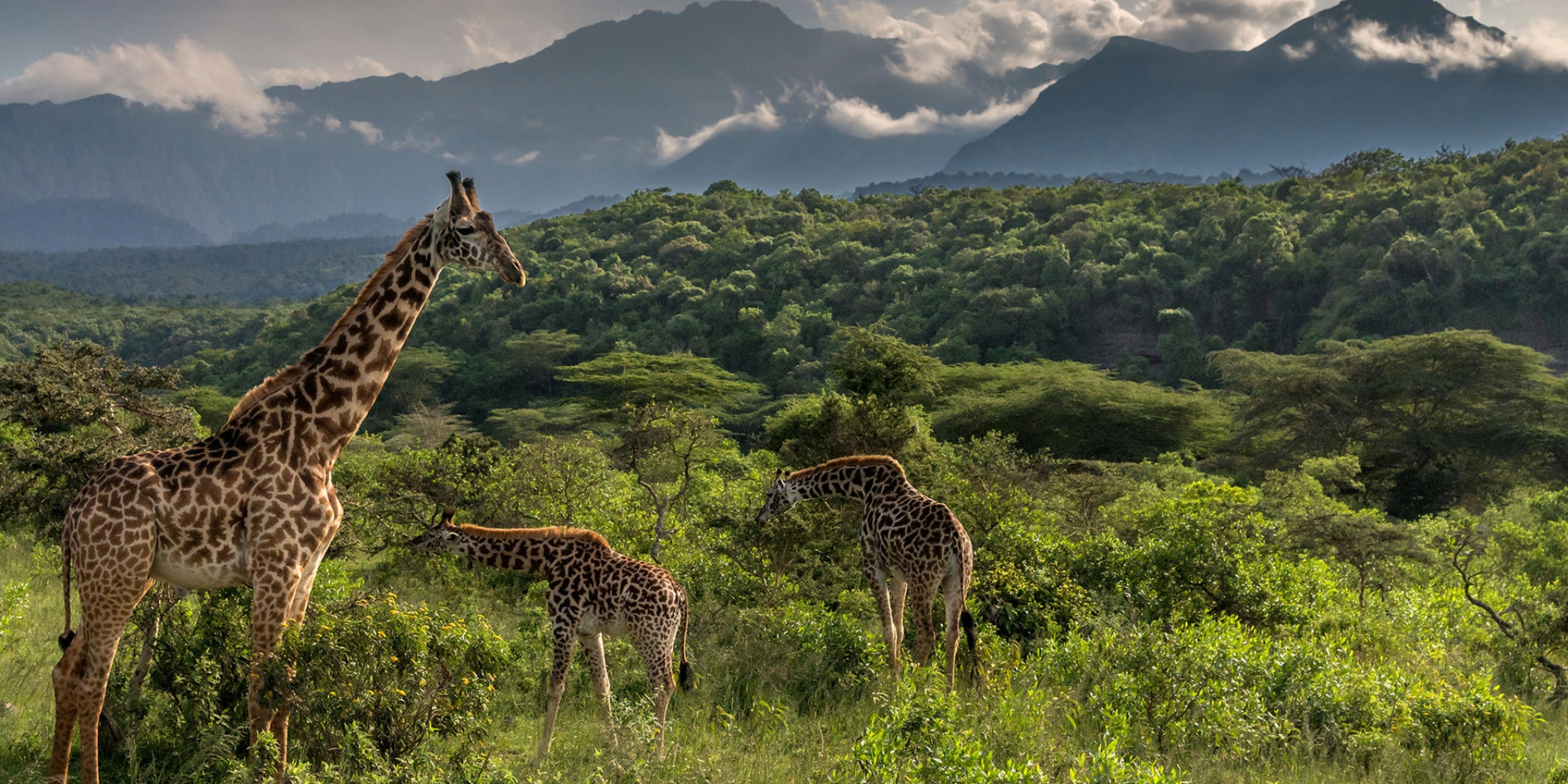 Arusha National Park