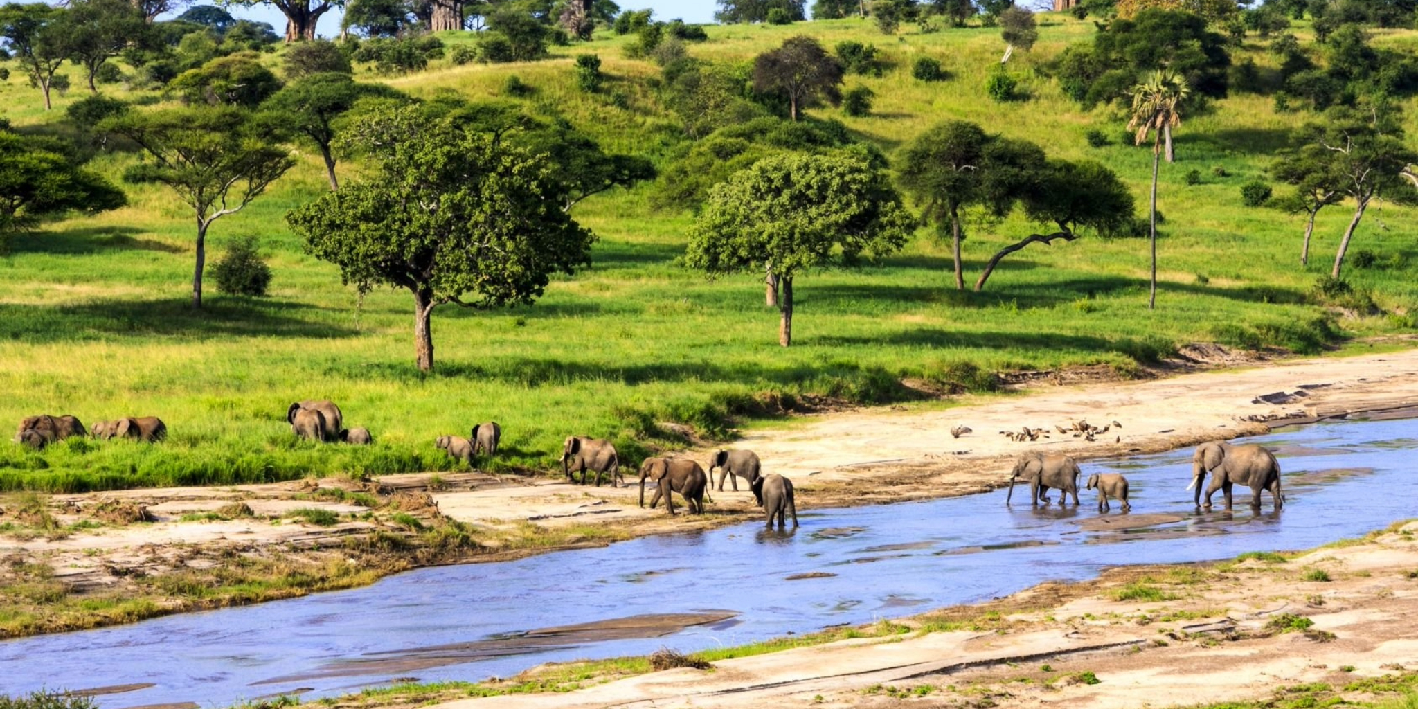 Tarangire National Park