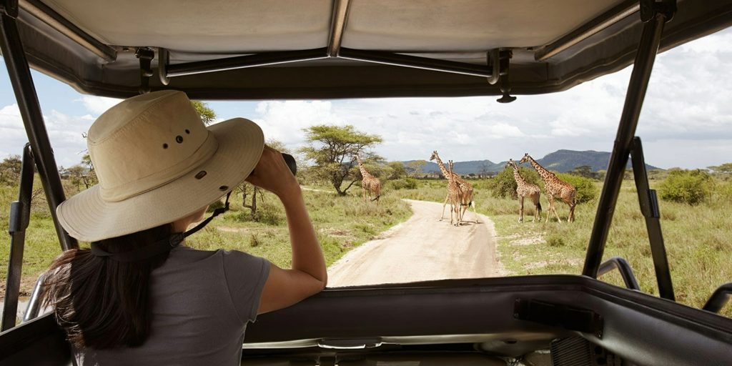 Tanzania safari tips for first timers