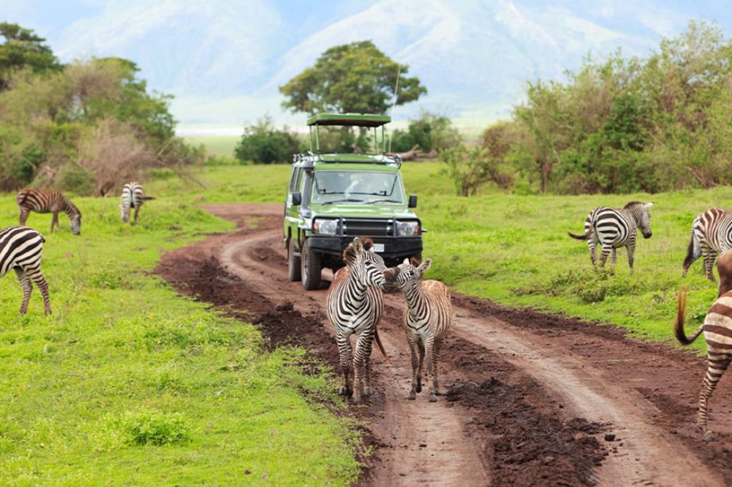 Getting Around in Tanzania