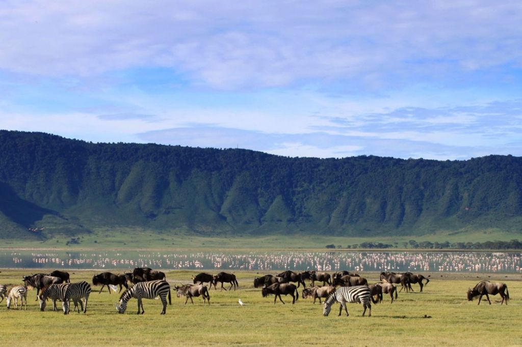 Ngorongoro Conservation Area