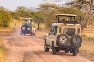 Safari Adventures Tanzania