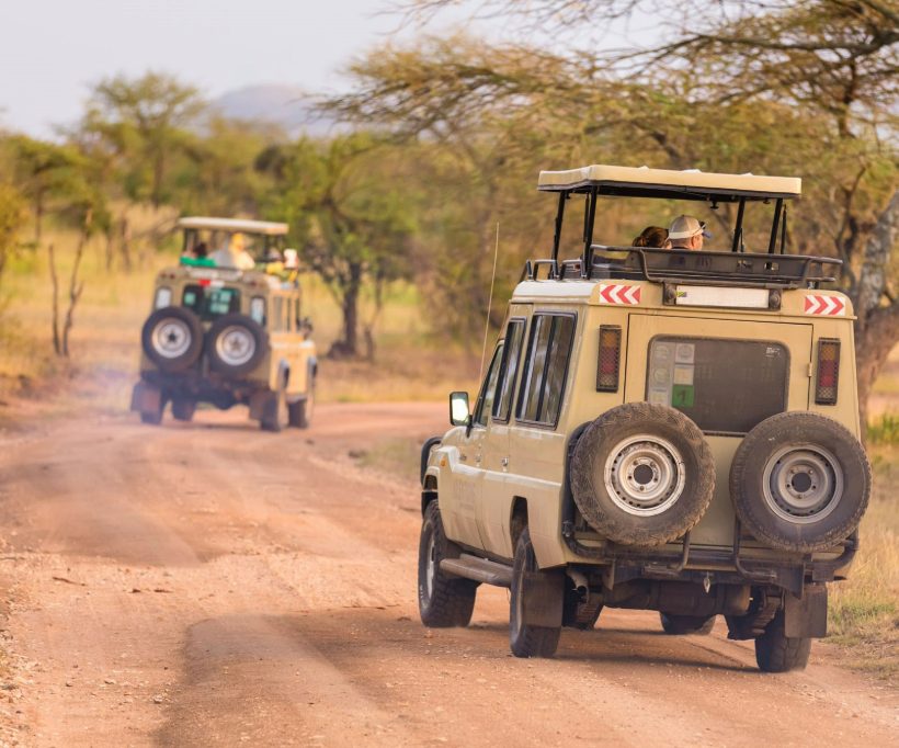 Safari Adventures Tanzania