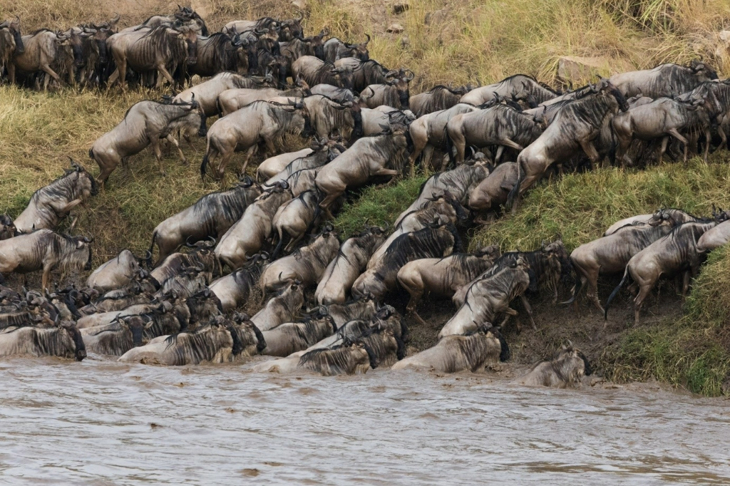 Serengeti National Park