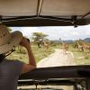 Tanzania Safari Experience