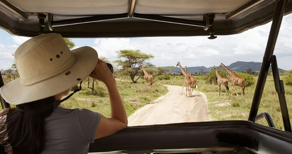 Tanzania Safari Experience