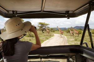 Tanzania Safari Experience