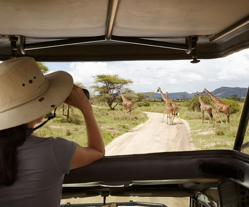 Tanzania Safari Experience