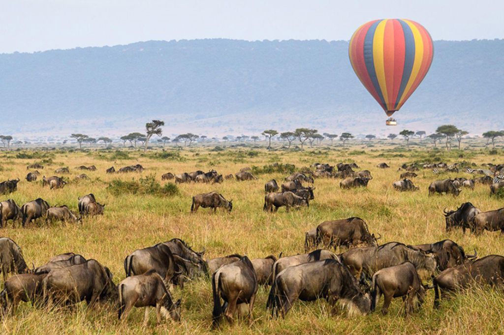 Safari Tour in Tanzania