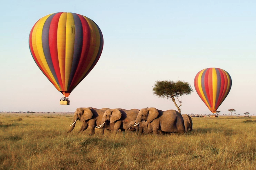 Hot Air Balloon Safari