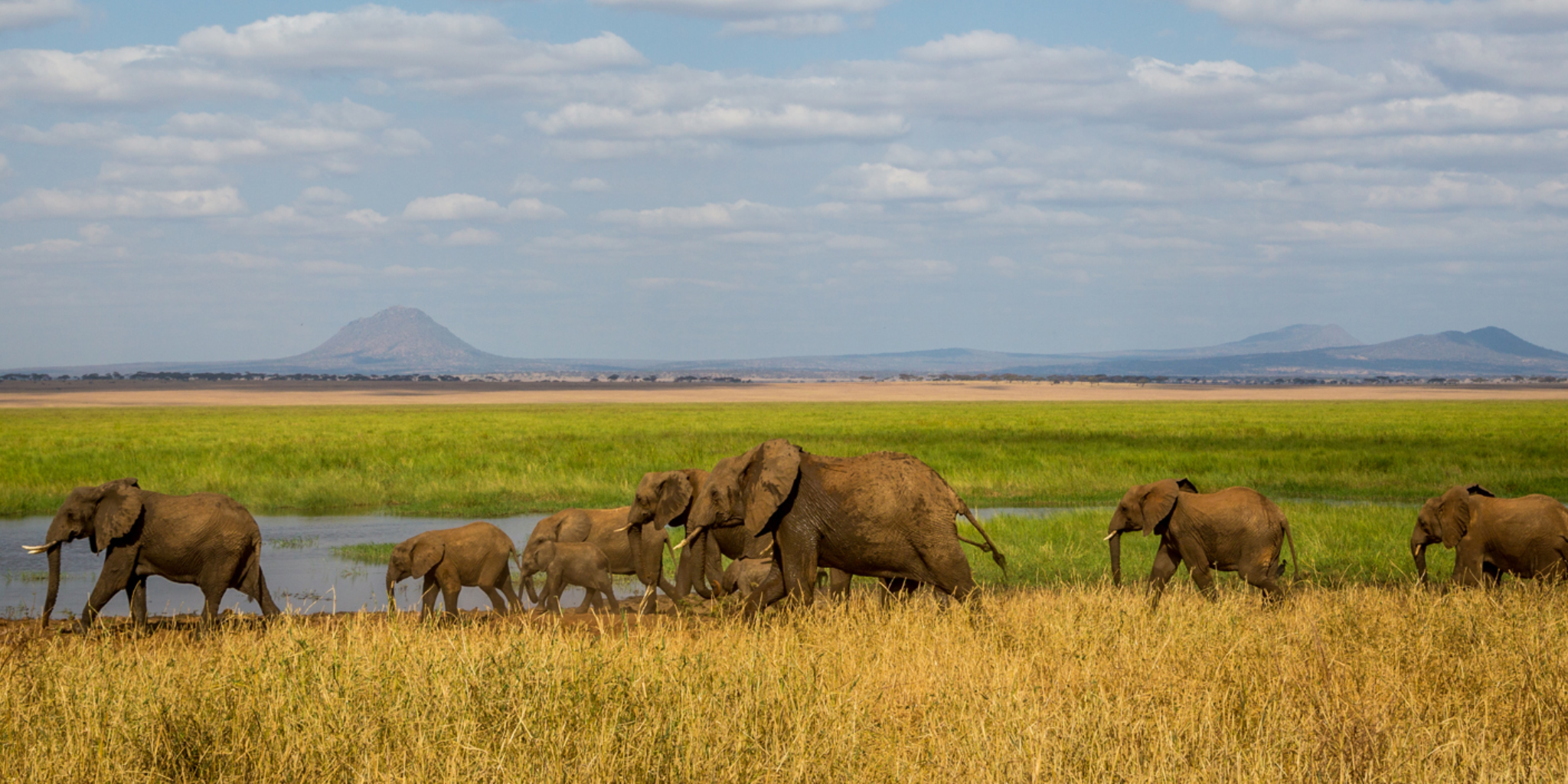 Tarangire National Park Day Trip