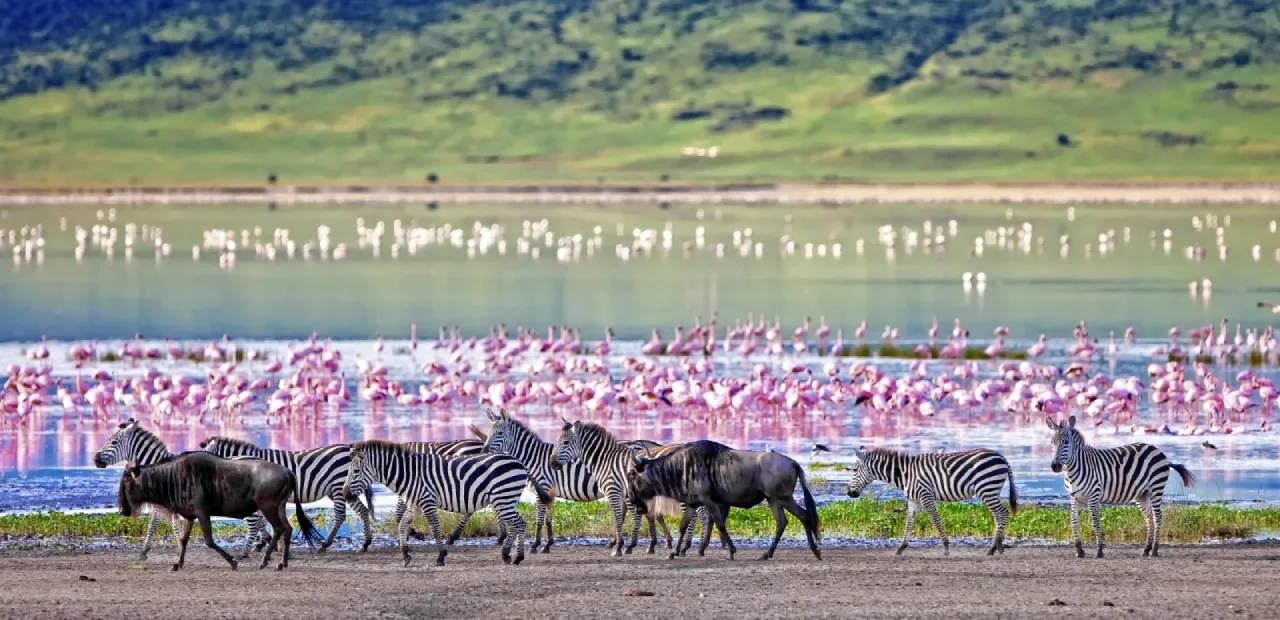 serengeti vs ngorongoro – panoramic crater view from rim