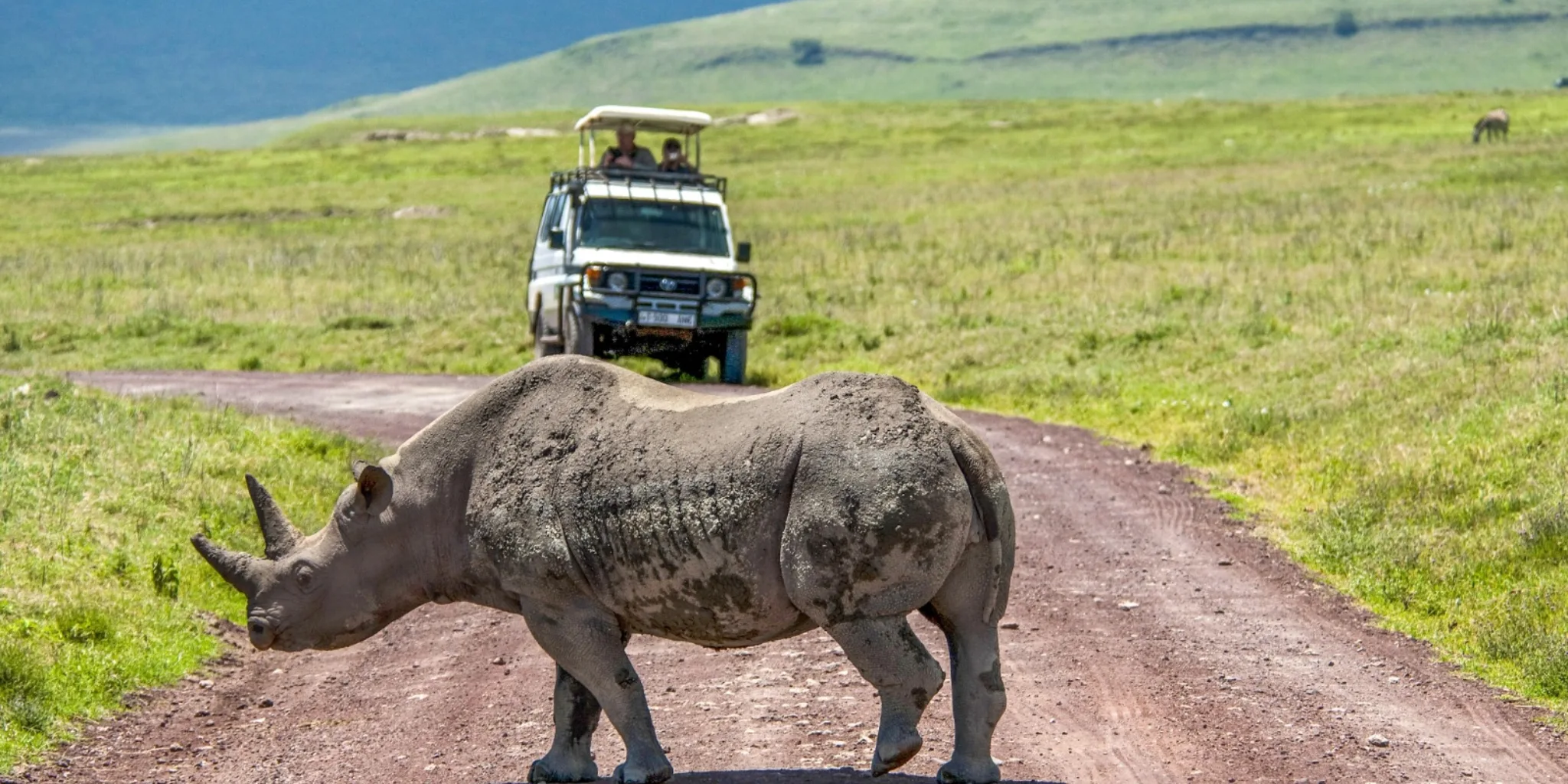 Ngorongoro Crater