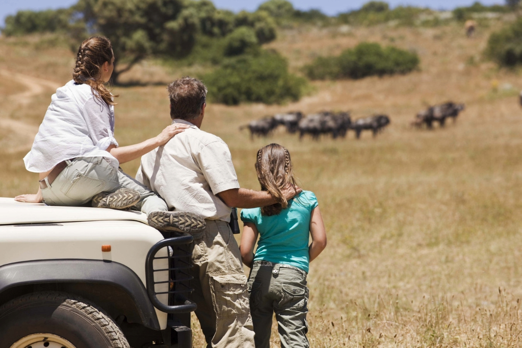 Tanzania safari tips for first timers – game drive in Serengeti