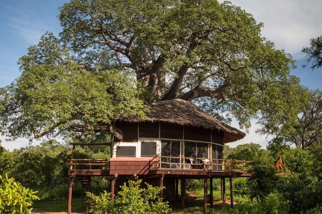 Tarangire Treetops