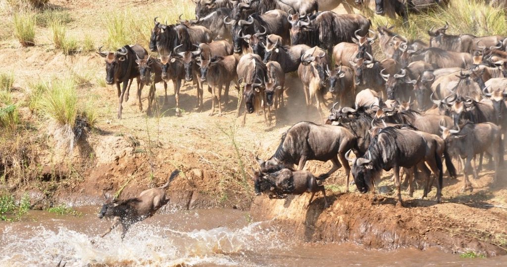 Great Migration