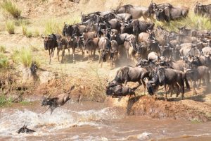 Great Migration