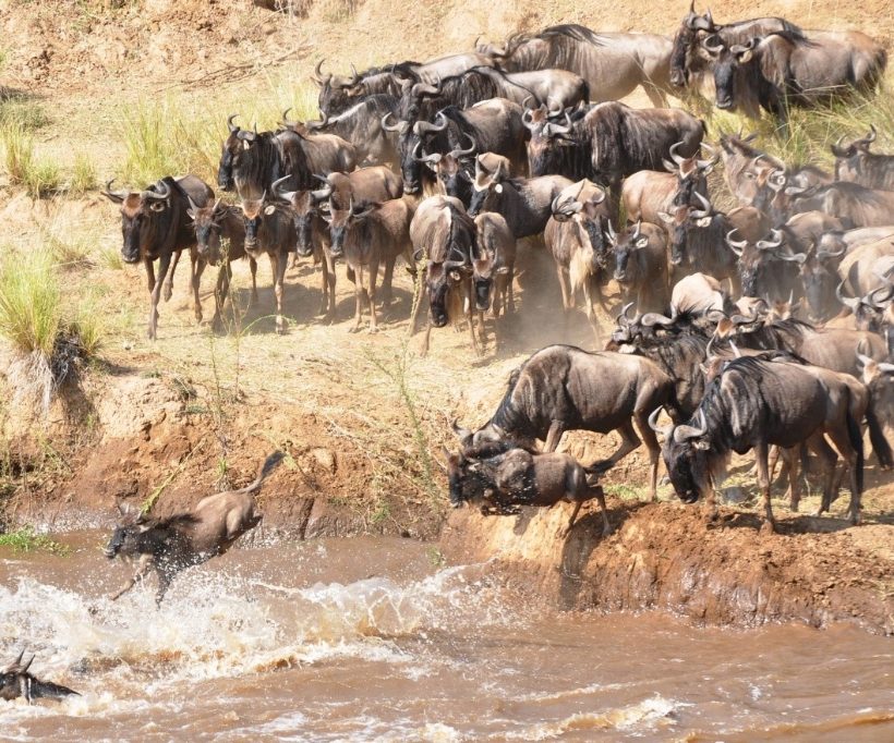 Great Migration